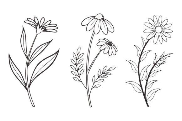 Birth Month Flowers SVG: Premium Graphics & Illustrations