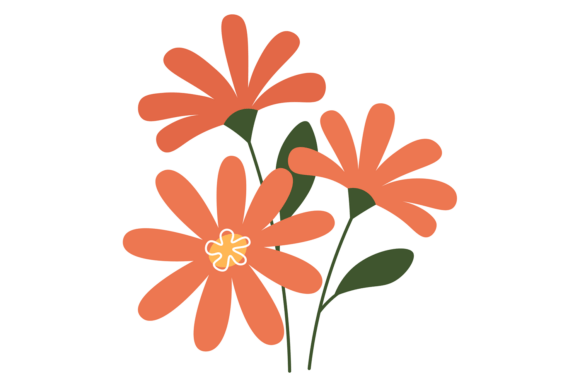 Garden Flowers Color Drawing: Summer Graphics & Illustrations