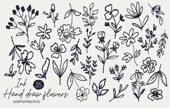 Hand Drawn Ink Flowers: Graphics & Illustrations Review