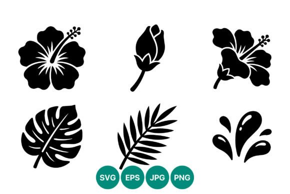 Hibiscus Graphics & Illustrations: A Brand Review