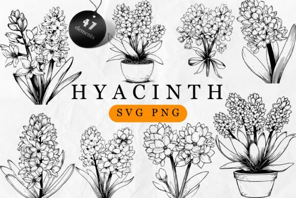 Hyacinth SVG Clipart: Elegant Graphics & Illustrations