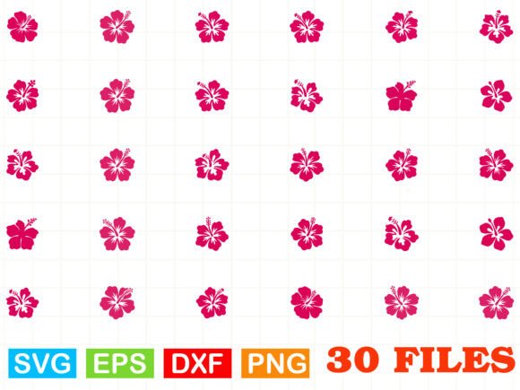 Ibiscus Flowers SVG: Tropical Graphics & Illustrations