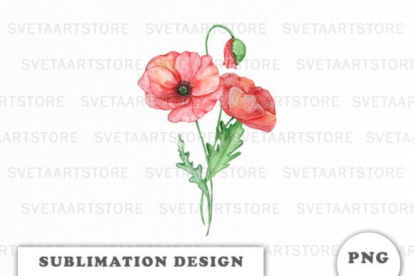 Watercolor Red Poppy Flowers Bouquet Png Graphics